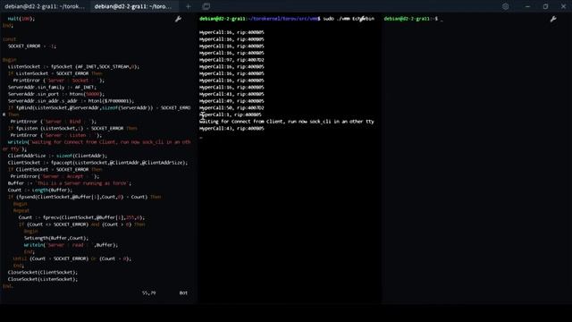 Simple Echo server by relying on POSIX hypercalls смотреть онлайн