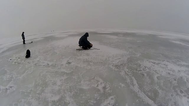 ЛОВЛЯ ОГРОМНЫХ ГОРБАЧЕЙ НА ДНЕПРЕ\ЗИМОЙ НА БАЛАНСИР смотреть онлайн