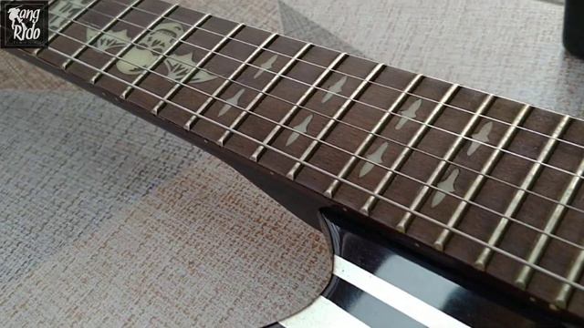 Schecter SYN Review Cinematic смотреть онлайн