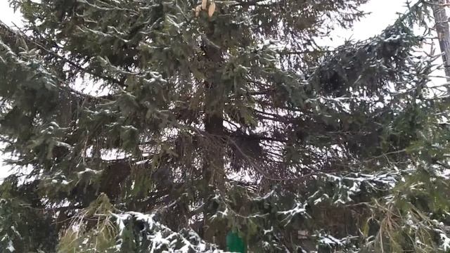 4 марта-АРХИПОВ ДЕНЬ.Что сделать для удачи.Чтобы всегда быть красивой.Народные приметы смотреть онлайн