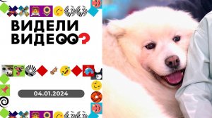 Видели видео? Выпуск от 04.01.2024