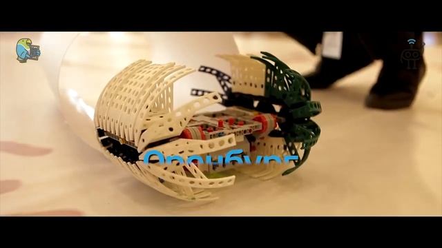 Чемпионат Абакус 2019 Санкт Петербург | Abakus Center смотреть онлайн