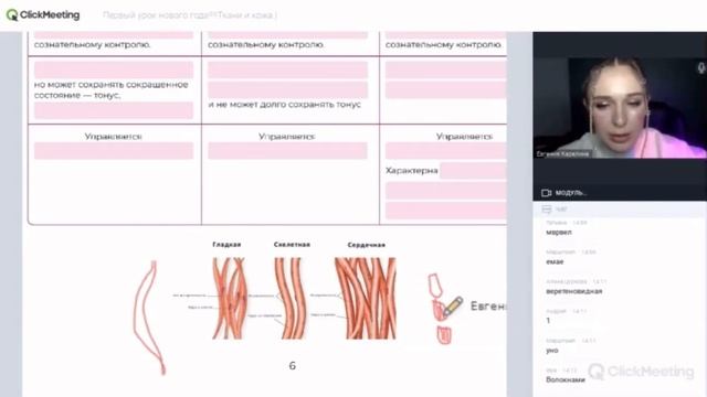 Мышечная ткань. Виды мышечной ткани. Биология ЕГЭ 2023. Бесплатный курс в описании ?? смотреть онлайн