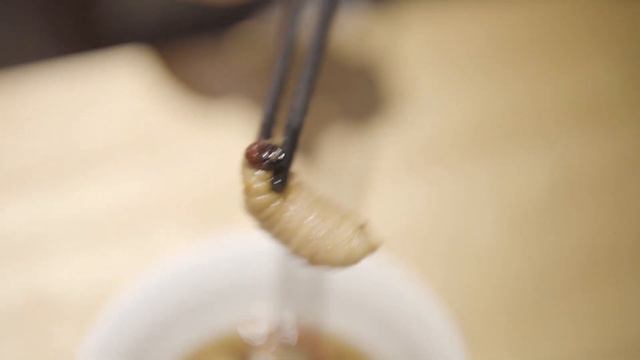 Едим червей во Вьетнаме, личинки кокосового жука смотреть онлайн