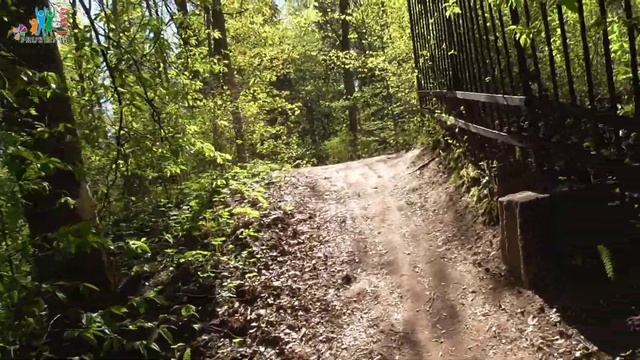 VLOG. Шуваловский парк спб в Парнасе смотреть онлайн