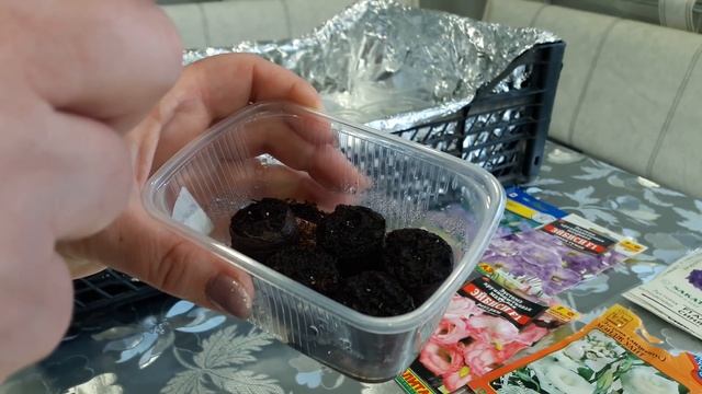 Первые всходы Эустомы появились на 10-й день. смотреть онлайн