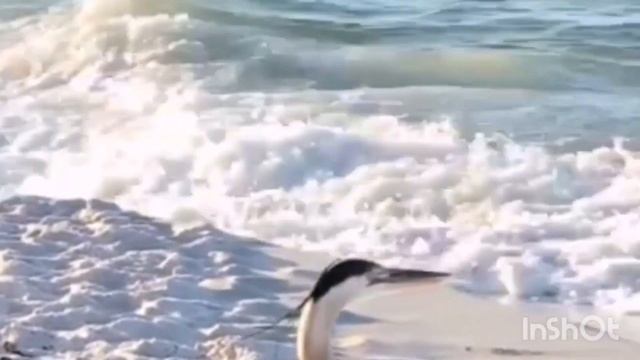 Музыка для души, сна и расслабления. Красивое видео.Relaxing Music For Sleeping. Beautiful Video.