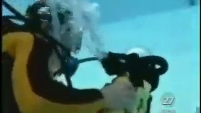 плавающий кот подводой смотреть онлайн