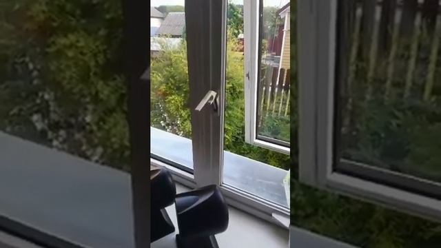 Ратомка. Флешмоб солидарности. смотреть онлайн