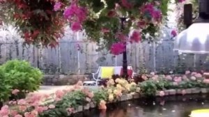 Андрей Бандера -  Голуби