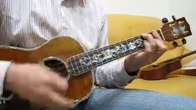 Hotel California (David's Ukulele) смотреть онлайн
