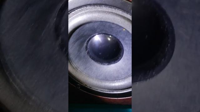 BVD LOVE DEXP MUSIC смотреть онлайн