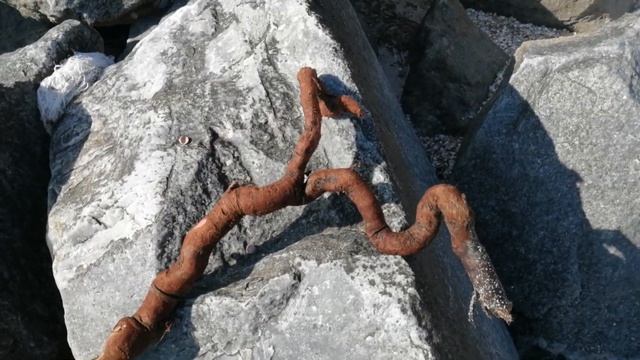 Коряга с Азовского моря. Что с ней делать? смотреть онлайн