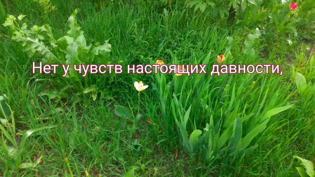 Не бывают бывшими люди смотреть онлайн