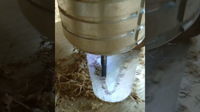 Double-Cut Part 4: Rear Cavity Routing and Tummy Cut смотреть онлайн