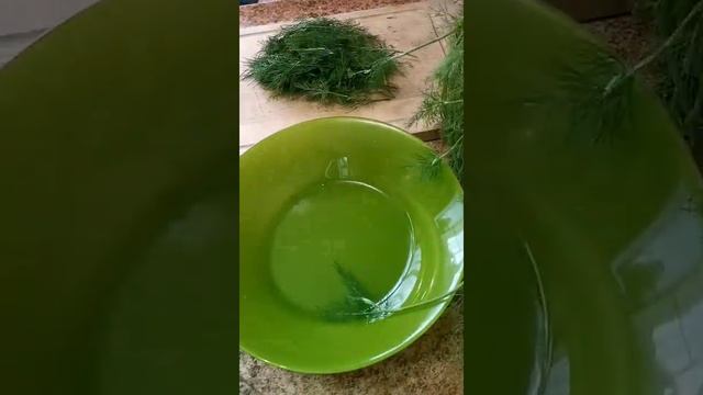 Зелень дачная на сушку смотреть онлайн