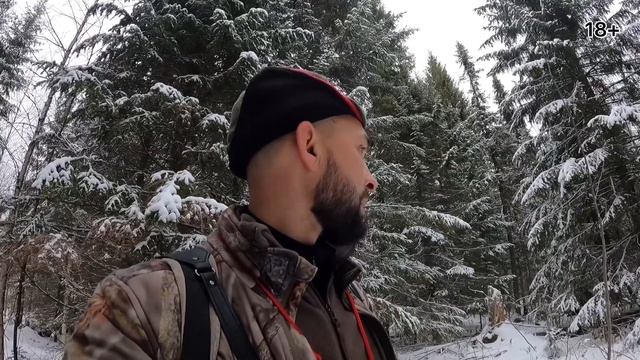 Собака попала под лося смотреть онлайн