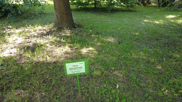 Жонглирование с Огнем и Световыми Эффектами