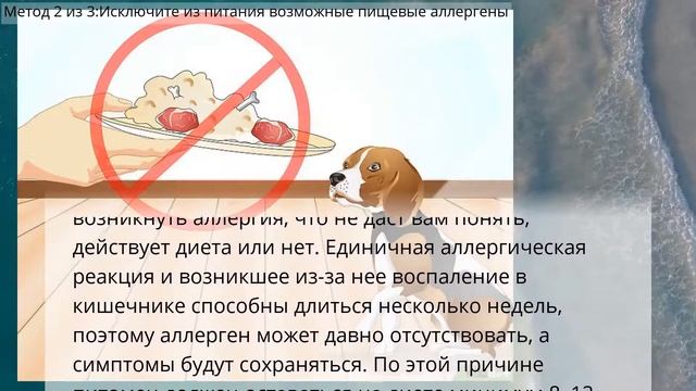 Как понять, что у собаки аллергия на продукты смотреть онлайн