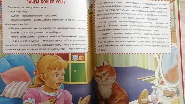 зачем кошке усы смотреть онлайн