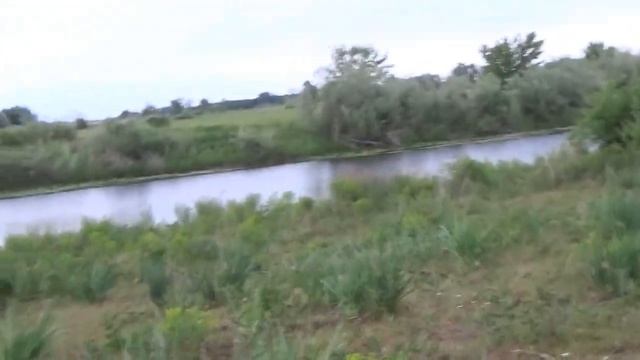 Поплавочная рыбалка на ЛИНЯ. НОЧНОЙ КЛЁВ ЛИНЯ И КАРАСЯ смотреть онлайн