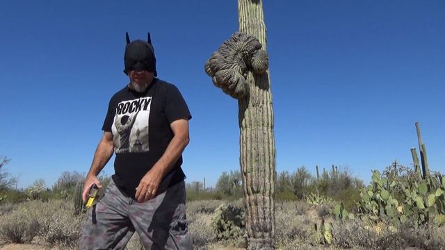 The Crested Saguaro смотреть онлайн