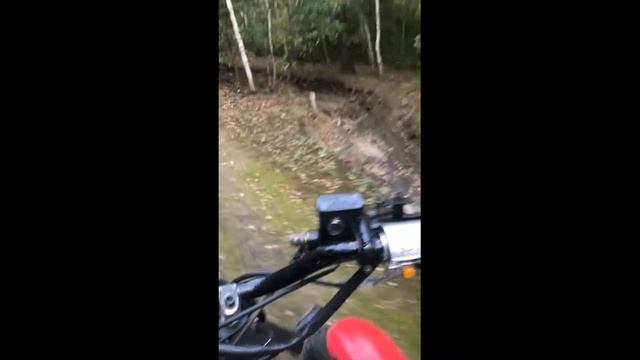 Лесной прокат смотреть онлайн