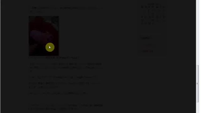 Wordpressで簡単にLightbox風の画像効果にしてくれるプラグインを入れました смотреть онлайн