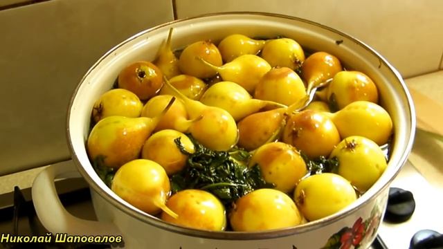 Музыкальные Перформансы и Импровизации