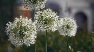 7 Жизненных Открытий, Которые Делает Большинство Людей после 40