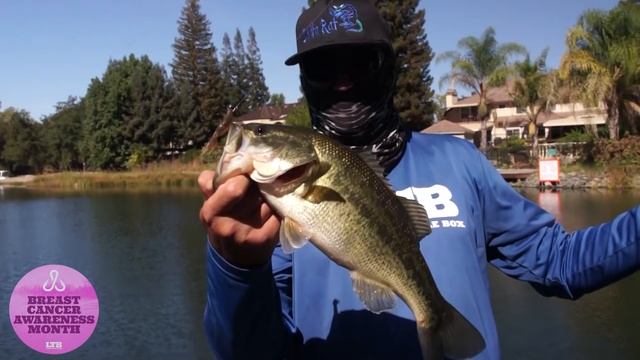 How To Fish Using Bait Scents! смотреть онлайн