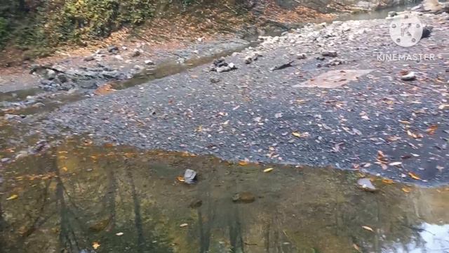Сочи." Чайный " водопад. смотреть онлайн