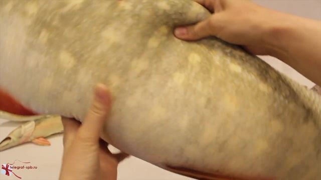 Подушка-антистресс - Щука 117 см (гигант) смотреть онлайн