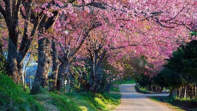 Музыка Для Утра И Хорошего Настроения Музыка Для Релаксации ! музыка Сергей Грищук! релакс видео