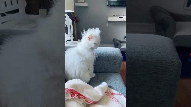 Утро понедельника смотреть онлайн