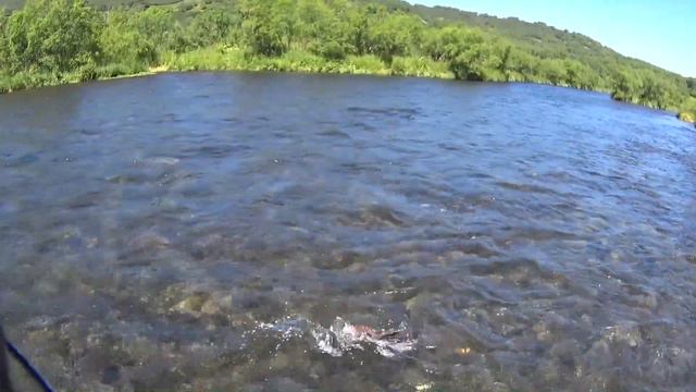 Камчатка4(Опала) смотреть онлайн