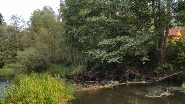 старый шлюз на реке Песь смотреть онлайн