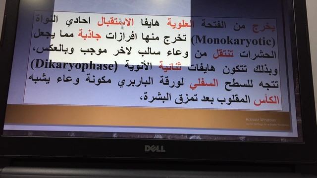 Order Uredinales/الاستاذ الدكتور هادي علوان محمد الساعدي