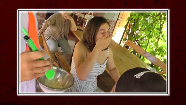 Визит. Зубчаниновка (2017)