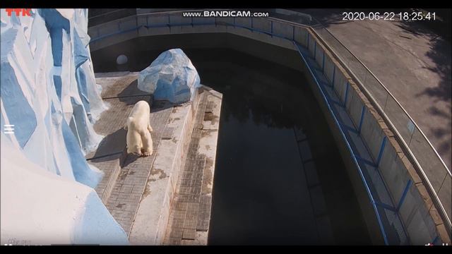 Кай не может грызть косточку как это делает Герда 22.06.2020 смотреть онлайн