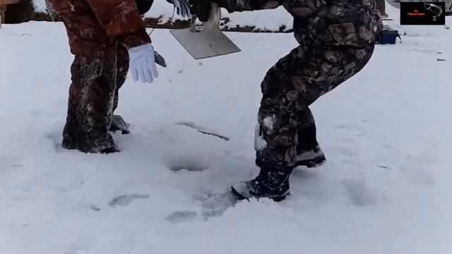 Платная рыбалка по льду, пруд "Чёрные камни" 18.01.20г. Зимняя рыбалка на форель. смотреть онлайн