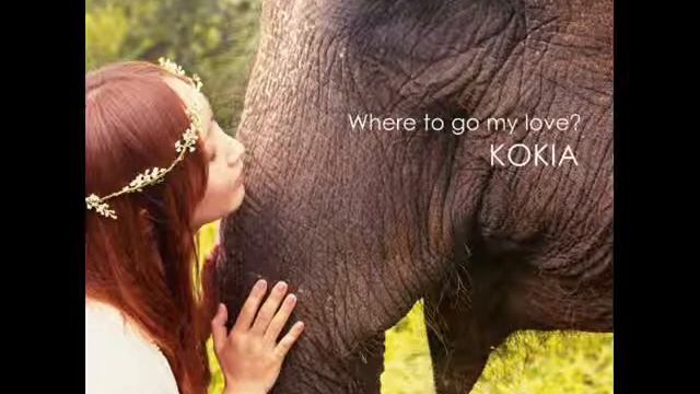 Yume no tochuu (Cover by totylafata) смотреть онлайн