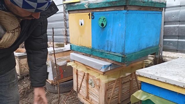 Какие летки открывать или закрывать в ульях зимой? Как зимовать без сырости в улье смотреть онлайн