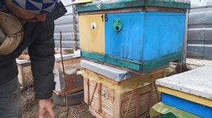 Какие летки открывать или закрывать в ульях зимой? Как зимовать без сырости в улье