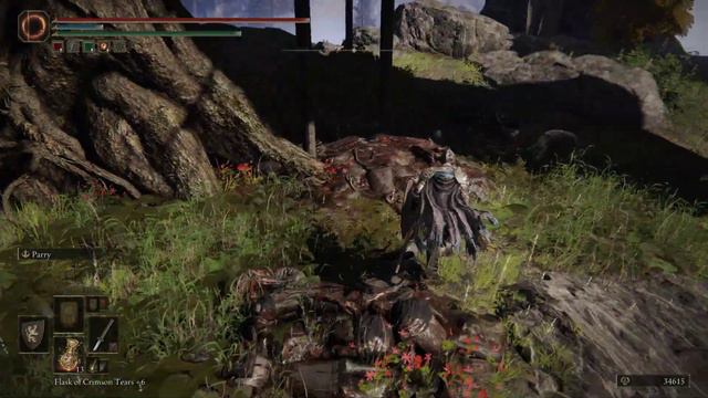 Elden Ring : Crystal Sword Location смотреть онлайн