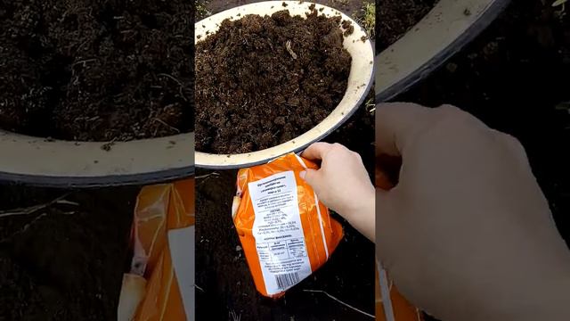 Подкармливаем чеснок органикой смотреть онлайн