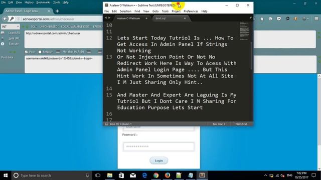 Acess With Admin Panel смотреть онлайн
