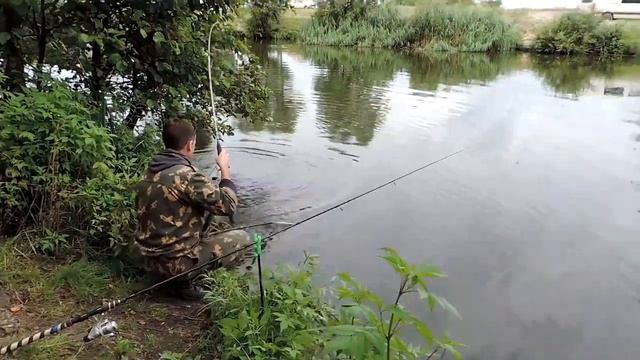 ШОК!!!! АМУР 7КГ! ПОКЛЕВКА АМУРА. как поймать амура смотреть онлайн