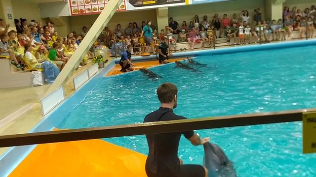 ПОЕЗДКА НА ЧЕРНОЕ МОРЕ НА МАШИНЕ С ДЕТЬМИ 2020 смотреть онлайн