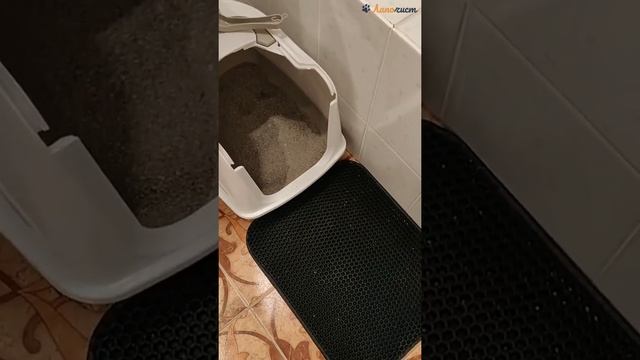 Отзыв про коврик для кошачьих лотков Лапочист смотреть онлайн